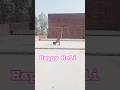 Holi Freestyle calisthenics Move 👍😎💪‼️#short#youtube shorts#trending
