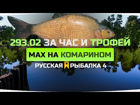 ЛОВЛЯ ЛЕЩА на Комарином на МАХИ ● Фарм серебра ● Русская Рыбалка 4