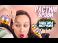 Как отрастить брови? Раскрываю все секреты!