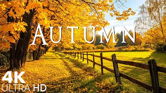 4K Cozy Autumn Scenes & Beautiful Relaxing Music 🍁 Soft Autumn Sounds for Relaxation & Meditation
