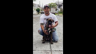 Que ha pasado con Aaron? 🐶 visita @christiangordillonyc para ver la historia completa 🐶