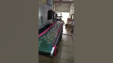 LED Diffuser Horizontal Machine Professional Manufacturer