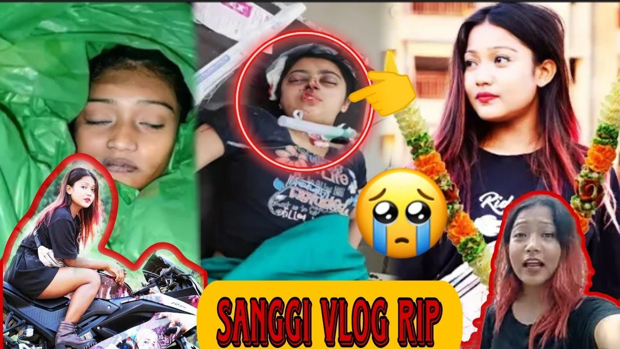 Sanggi Vlog Rip