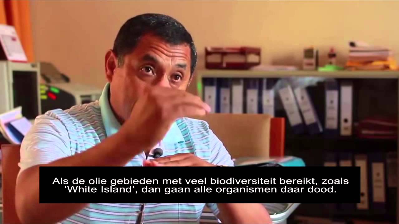 Vuile zeeën voor de vee-industrie