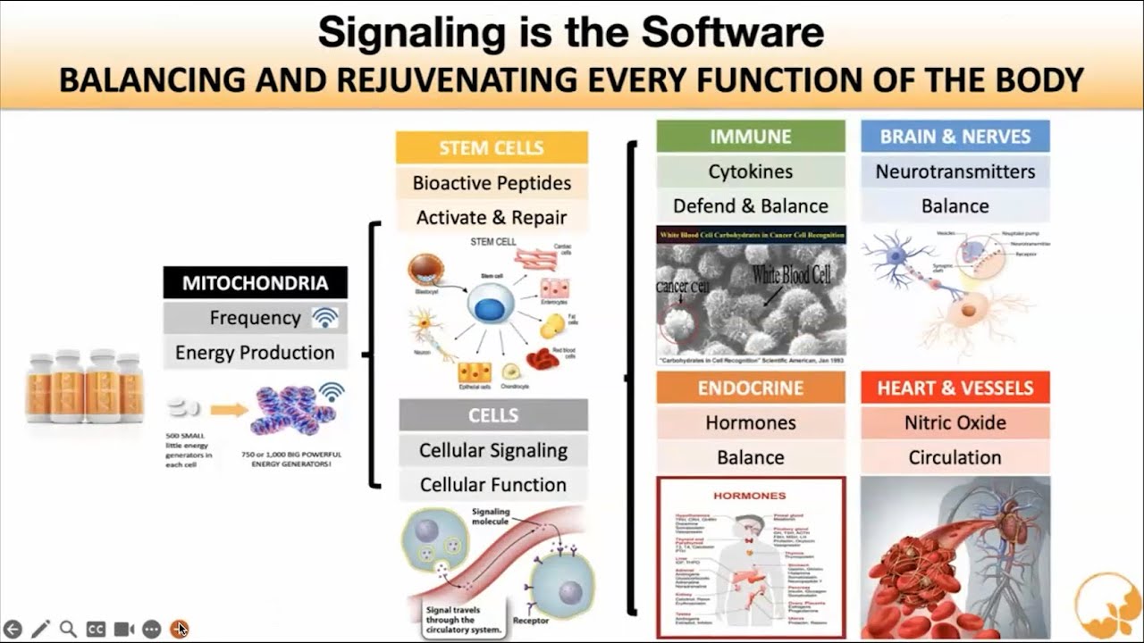 스트레스 방어 모드와 세포 위험 반응 이해하기