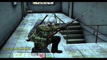 DayZ Standalone SKS Reload Animation