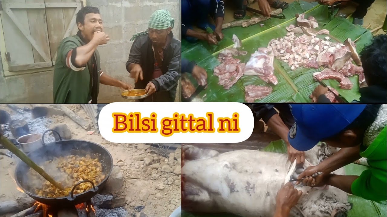 Bilsi gittal Tiptop 👍 - YouTube