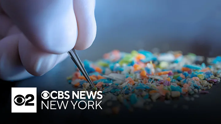 Doctor breaks down study that found alarming rates of microplastics in the brain