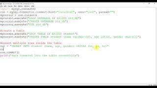 Celebrity Python program to insert multiple rows inside a table Wealth
