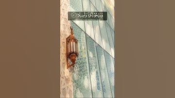 يا أيها الذين آمنوا اذكرو الله ذكرا كثيرا - حالات واتساب قران - تلاوة جميلة وهادئه