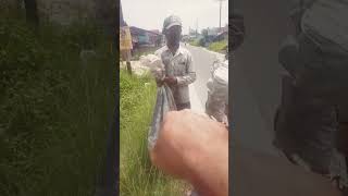 Jum'at Berbagi bersama _ ABANG  TUKANG BOTOT #shorts #berbagi