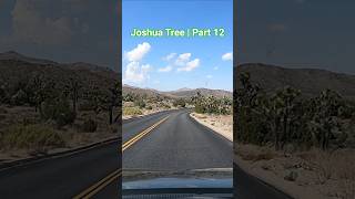 Joshua Tree POV Drive | Part 12 #drive #automobile #california #usa #pov #travel #nature #shorts