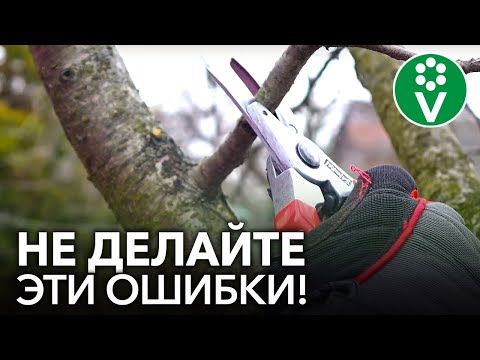 Видео: Обновление сада - Как удалить растения, которые переросли сад