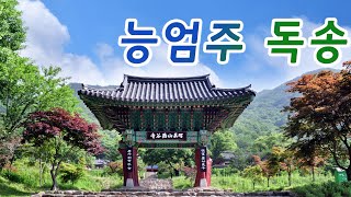 능엄주 7독,  중안스님 독송 / 대불정능엄신주 수행판, 자막