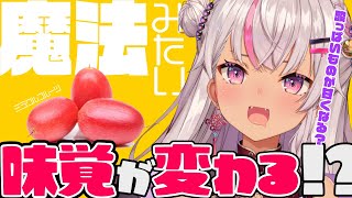 ✦実験✦酸っぱいものが甘くなる⁈魔法の食材𐩢𐩺にじさんじ/魔使マオ】