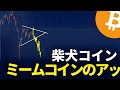 チキンを投資するか10秒を投資してください/シャフネルエアドロップ攻略