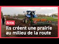 Colère des agriculteurs: ils sèment un hectare sur la RN165 image