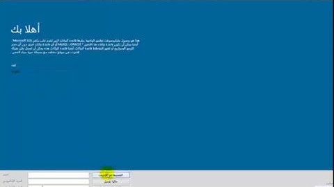 How to make multilingual MS Access 2007 based Application?