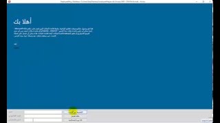 How to make multilingual MS Access 2007 based Application?