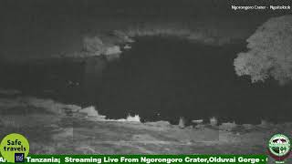 Ngorongoro Crater Live Streaming