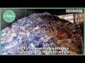 From plastics to electrical pulse fishing: 5 numbers from Strasbourg
