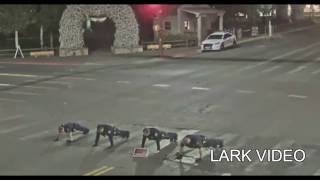 Jackson Hole town square - night police