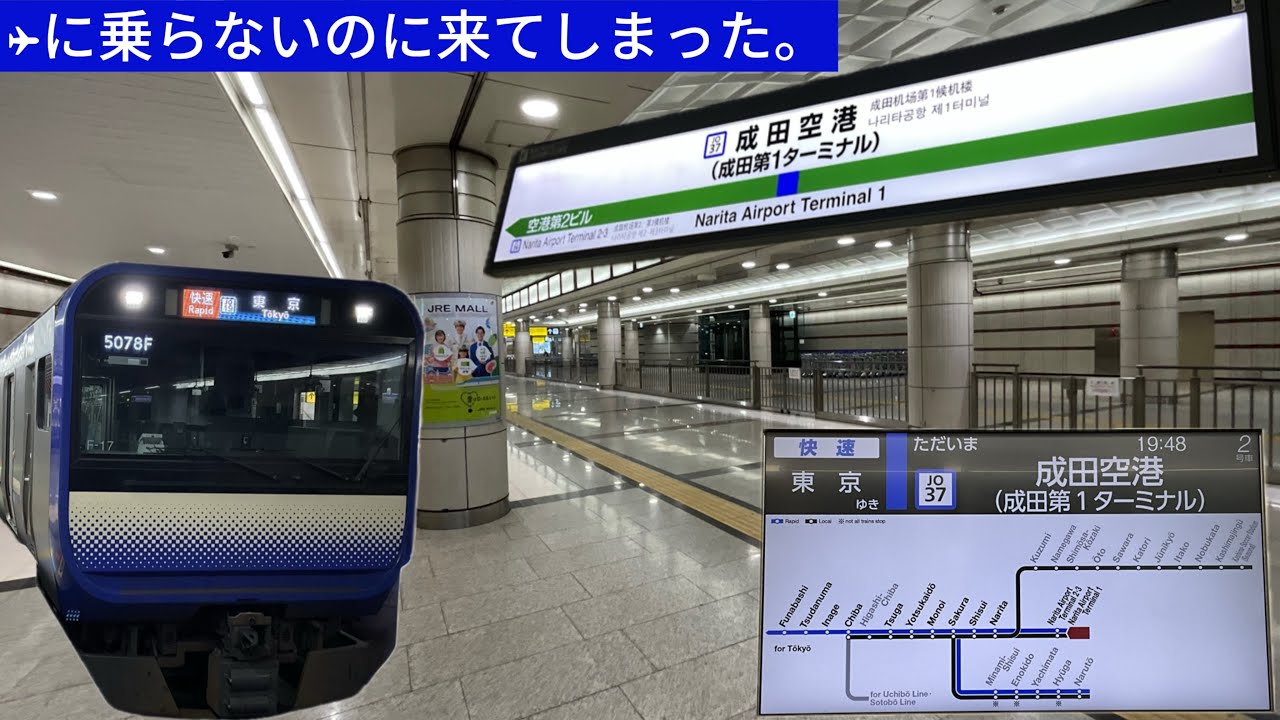 なぜ仕事帰りに？飛行機に乗る訳でもないのに夜toei_6500がe235系で成田空港に行ってきた。 - YouTube