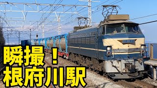 🟩瞬撮！根府川駅　EF66 27　EF210 301　EF210 901