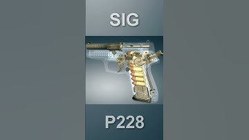 SIG Sauer P228 (M11) pistol #shorts