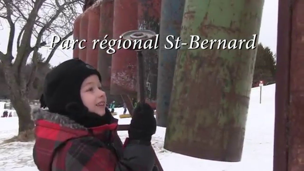 St Bernard hiver 2016