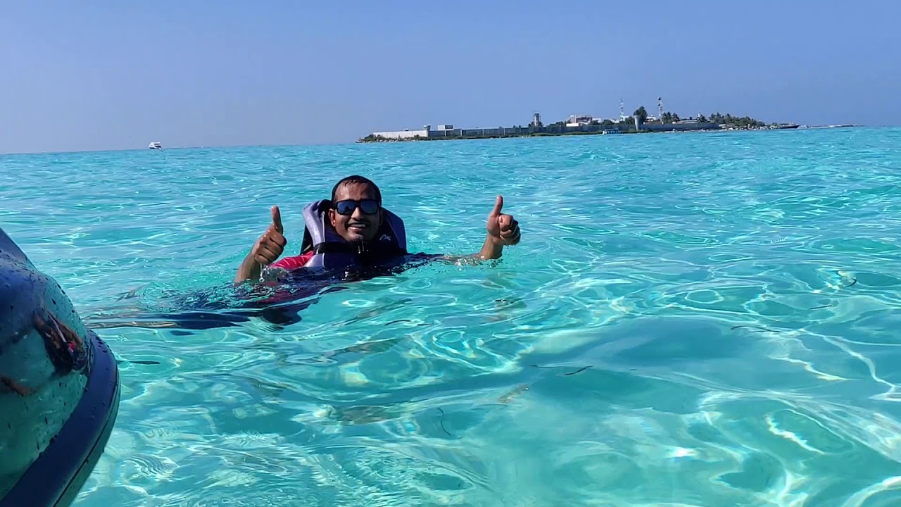 Maldives Swimming YouTube