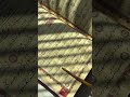 Reciting Al Qur'an