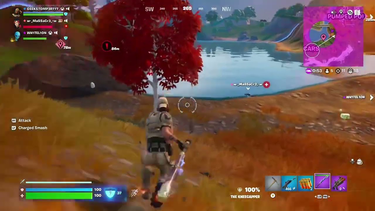 Fortnite Baseball Bat Win!