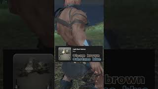 Orca of the Azure Sea .hack//GLAM! #ffxivmeme #ffxivmemes #fortnite #ff14 #.hack #dothack