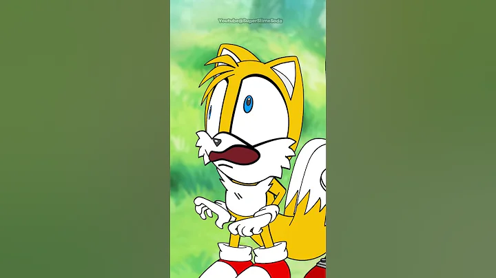 Tails Meet The New Sonic The Hedgehog