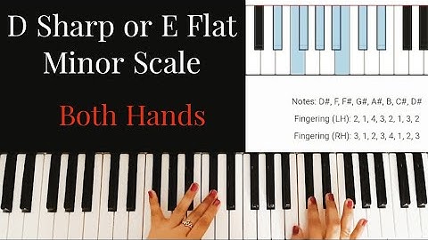D Sharp Minor Scale Piano Both Hands| E Flat Minor Scale|Relative Minors