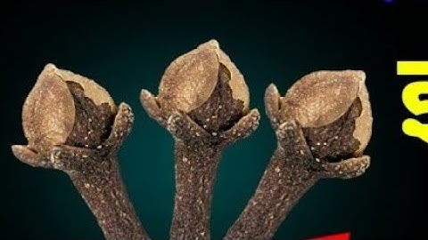 21 अप्रैल चैत्र सोमवार के दिन इस जगह फेंक देना 3 लौंग 1 महीने में बनोगे.#pradeepmishra