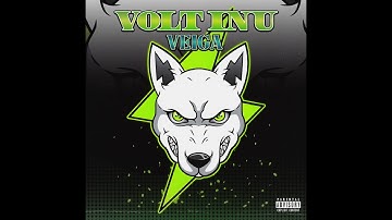 Digital Dollar #voltinu