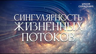 Сингулярность жизненных потоков