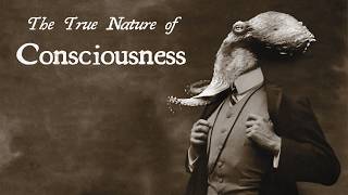 The Difference Between Consciousness and Sentience - Phenomenology of Consciousness