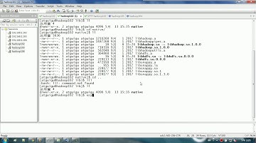 93 尚硅谷 业务数仓 配置Hadoop支持Snappy压缩
