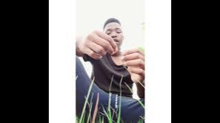 Nhliziyo Yami Mdedele Ahambe