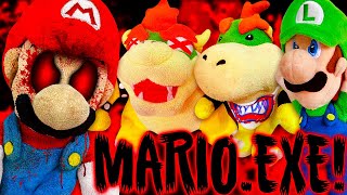 Crazy Mario Bros Marioexe