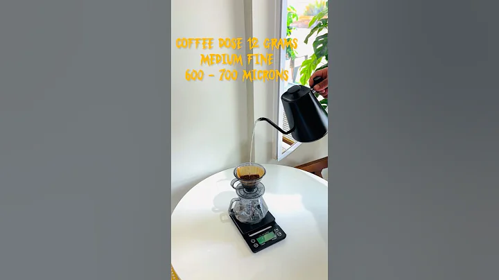 #The V60 Guide: #Crafting the Perfect Pour-Over Coffee [#2024 Guide] short video