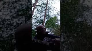 Man in Forest does Jungle Book classic 🦧🦧🦧