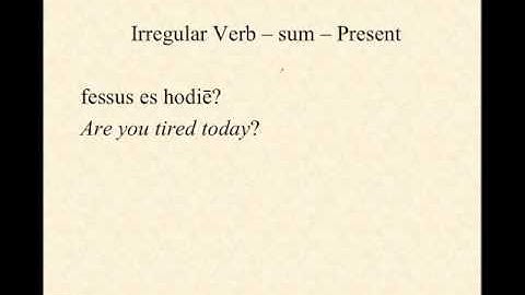 Irregular Verbs: sum