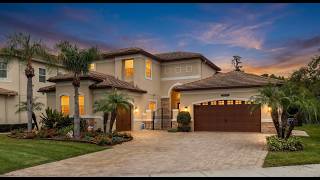 The Ridge at Wiregrass 30581 Ivy Forge Ct, Wesley Chapel, FL 33543