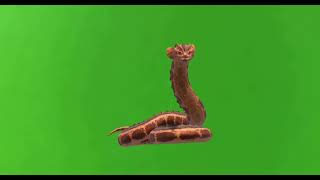 Spinoconstrictor Green screen for all