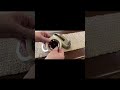 Masking Tape 4 Pack Review for Small Business | SWRT