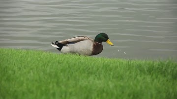 Module 2 exercise VIC 3001